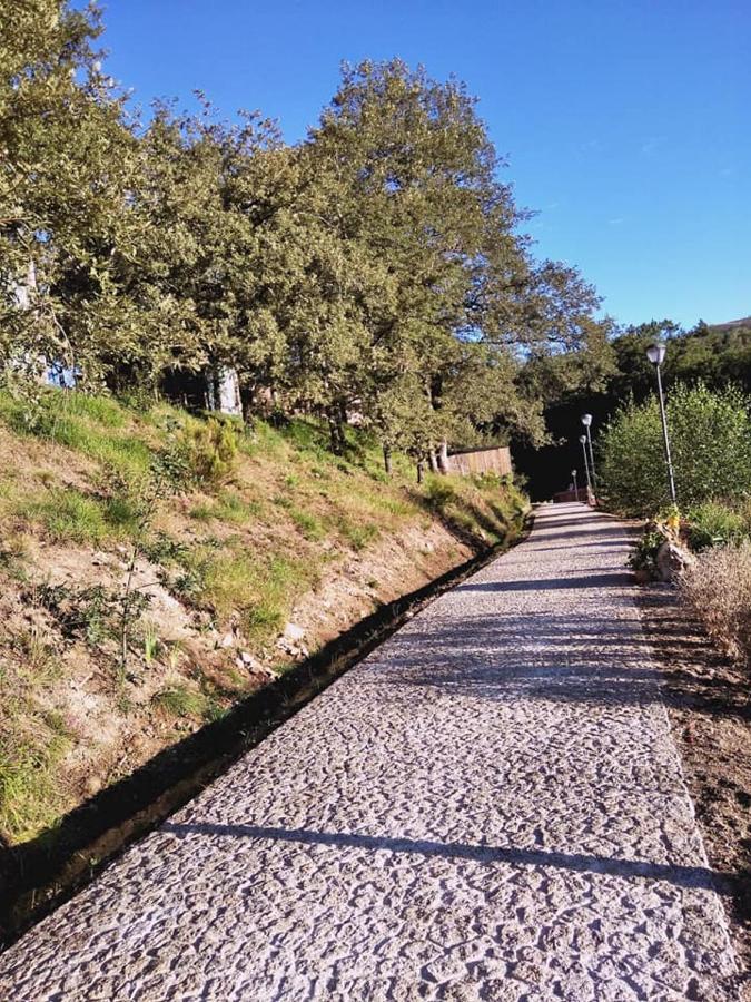 فيلا Ninho Da Avo Selvagem مونتاليغري المظهر الخارجي الصورة